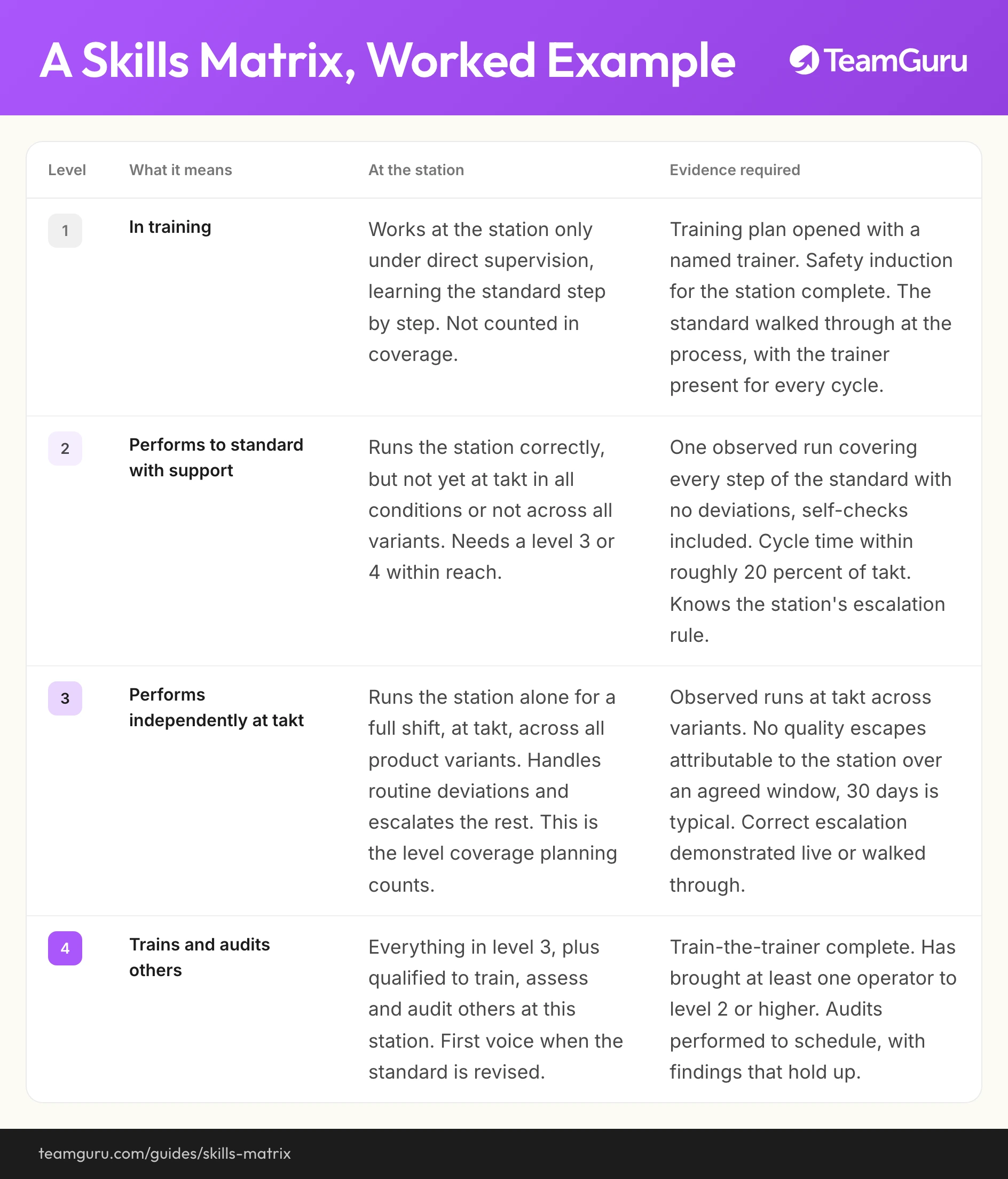 Skills Matrix implementation diagram (TeamGuru guide)