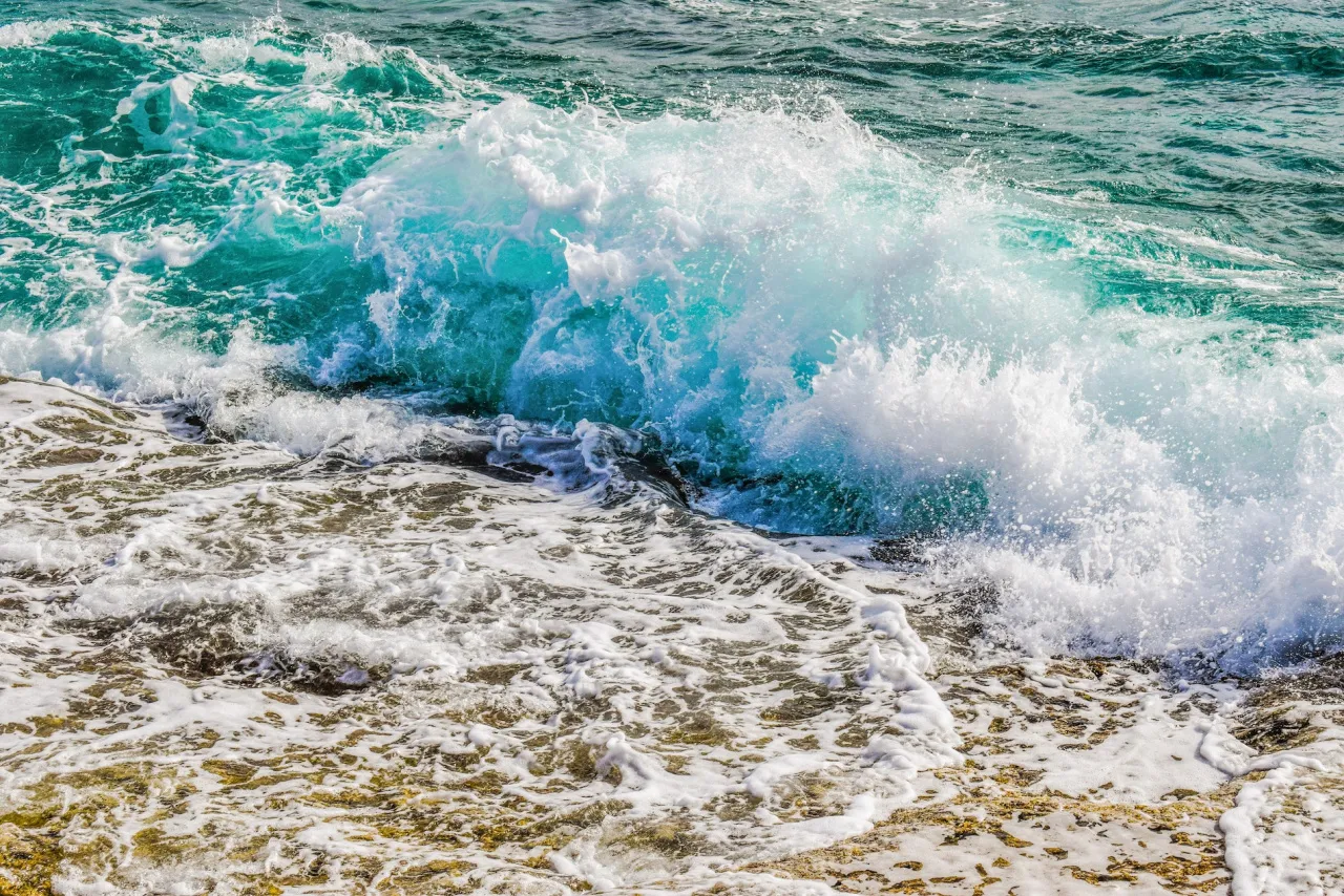 Turning Tides: Leveraging Crises for Business Opportunities