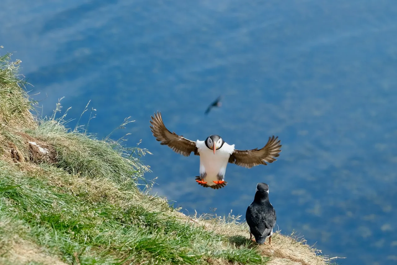 Early Bird Gets the Worm: Learn This Success Trick