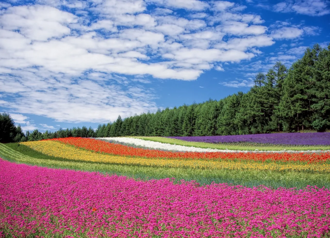 Flourishing Customization: Where Productivity Takes Root and Blooms!