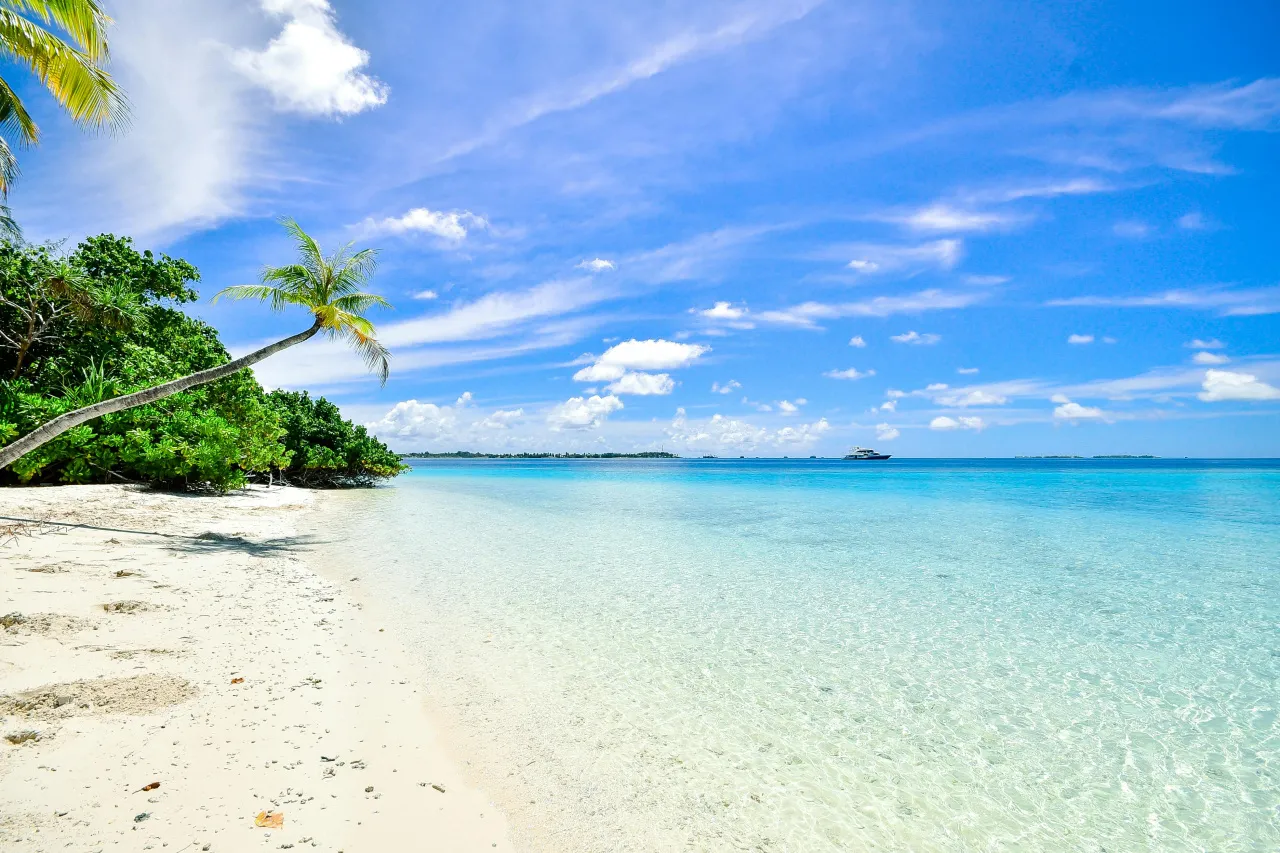 Top 10 Ways to Bounce Back After Vacation