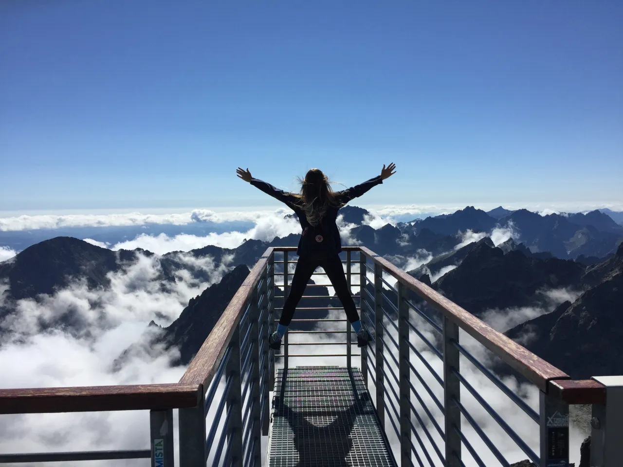 5 Key Principles for Career Success: A Guide to Thriving in Any Job