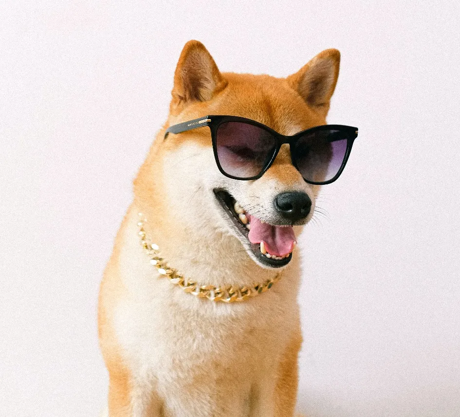 Your TeamGuru Makeover