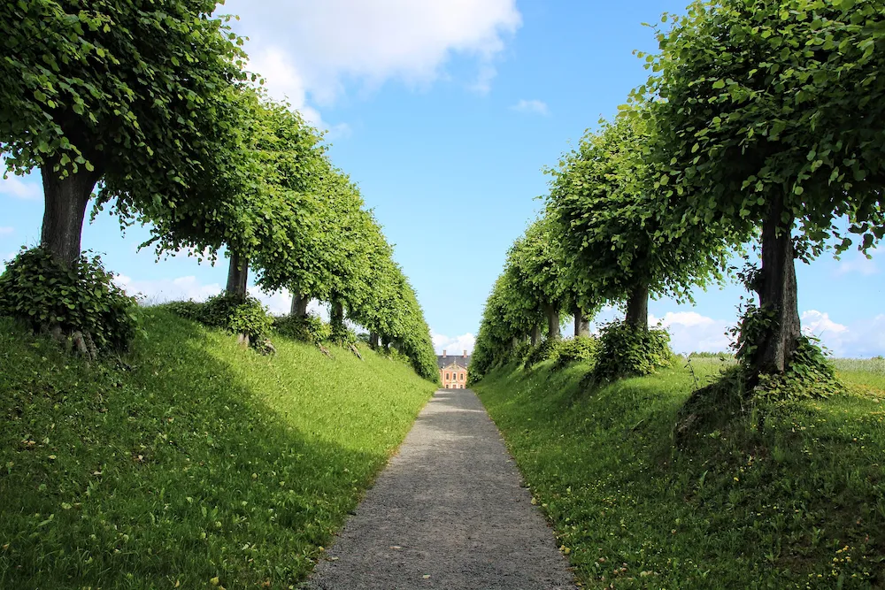 Widen Your Perspective with New INSIGHTS